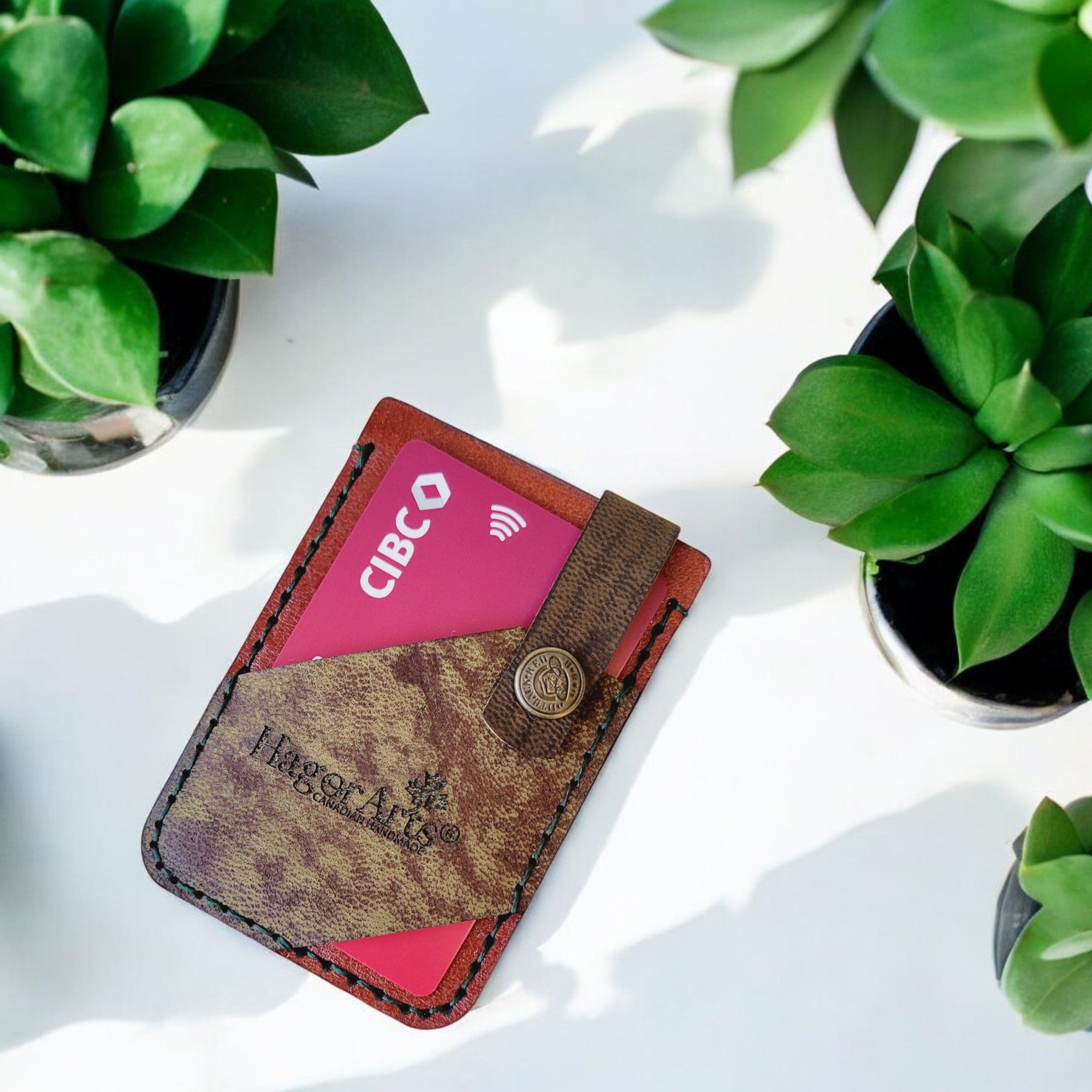 A brown leather cardholder with a clasp, displayed among green potted plants.